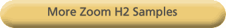 More Zoom H2 Samples